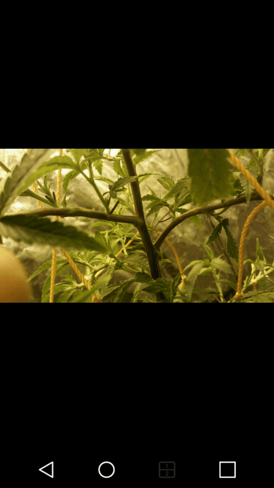 Screenshot 2016 12 30 14 08 01