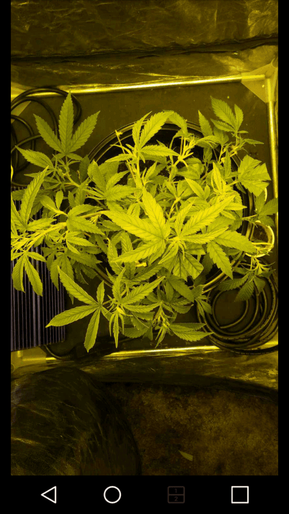 Screenshot 2016 12 30 14 08 05