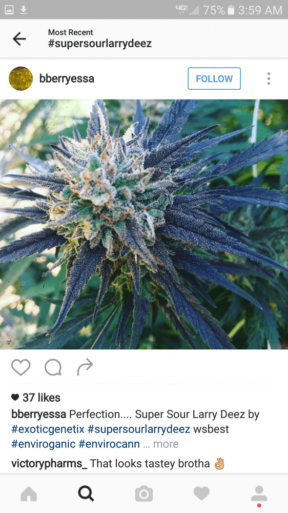 Screenshot 20161023 035930