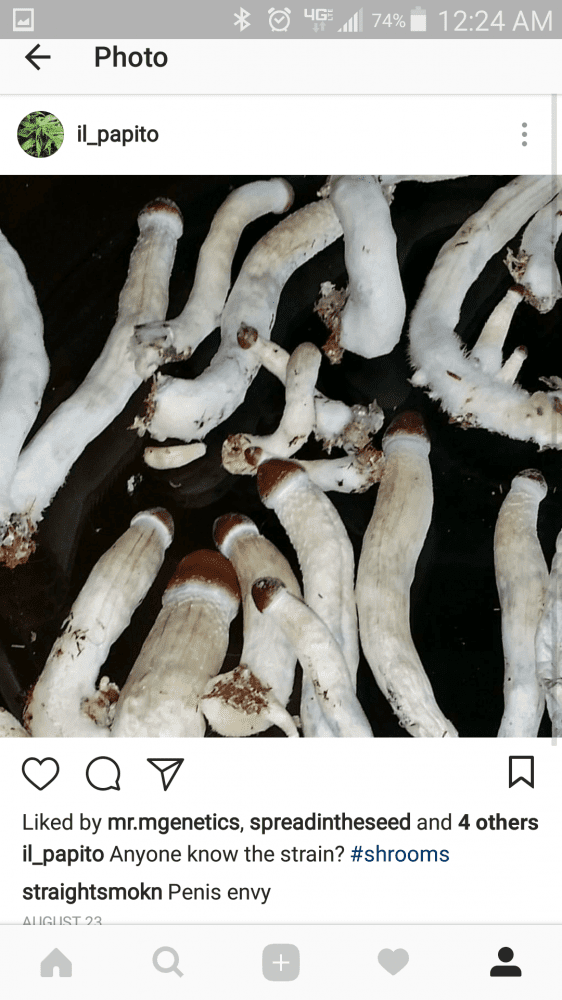 Screenshot 2017 09 17 00 24 43