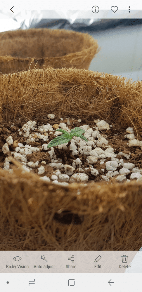 Screenshot 20171010 185227
