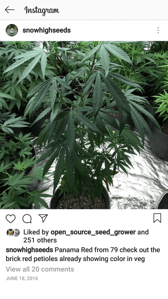 Screenshot 20190106 173059