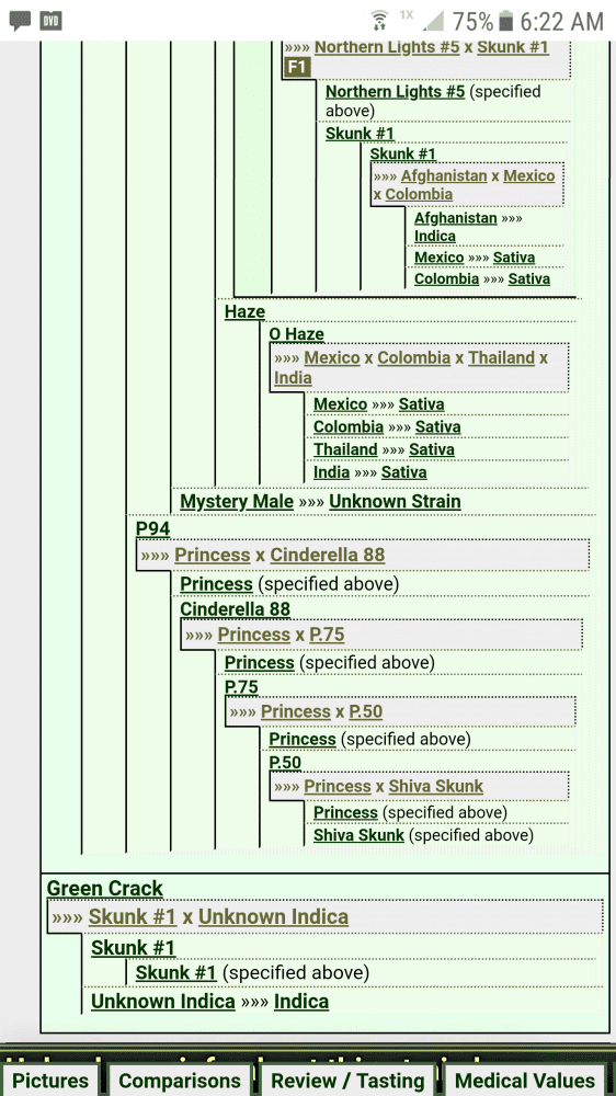 Screenshot 20190220 062236