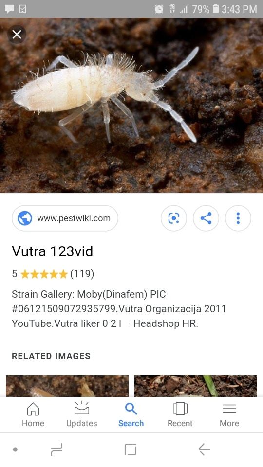 Screenshot 20190503 154307 Google