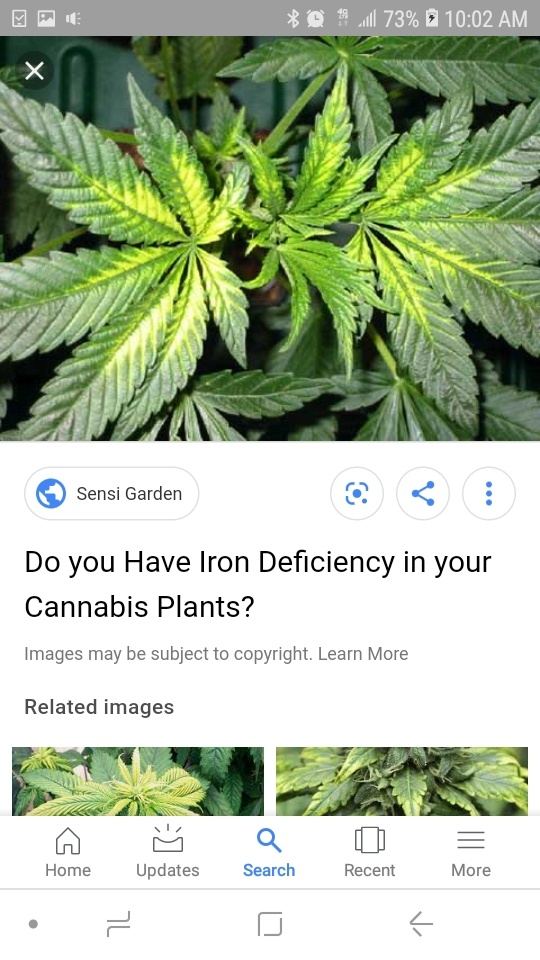 Screenshot 20190626 100202 Google