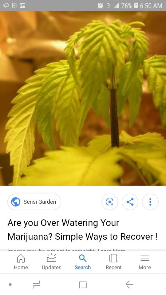 Screenshot 20190708 065019 Google
