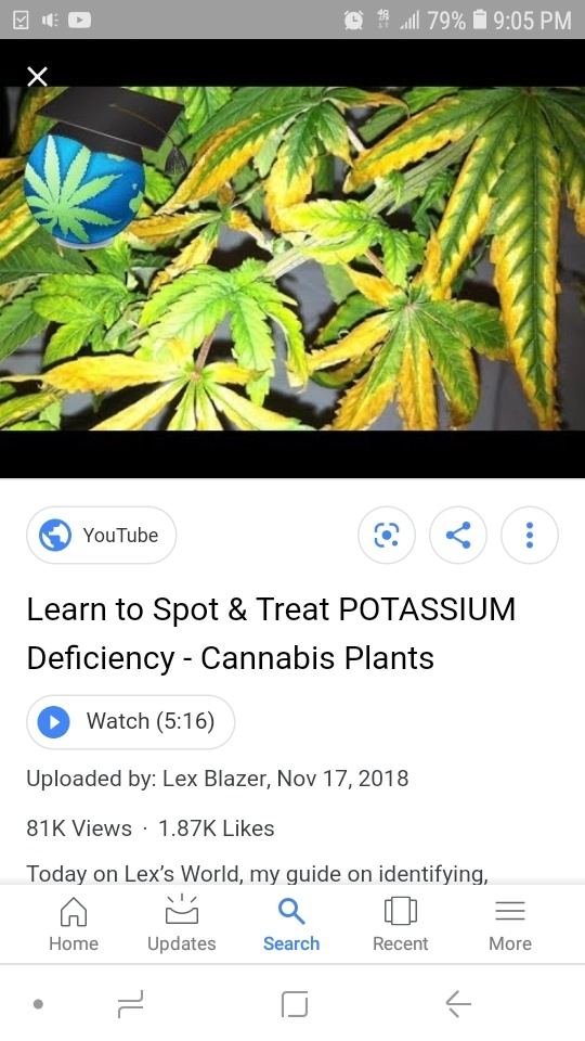 Screenshot 20190730 210502 Google