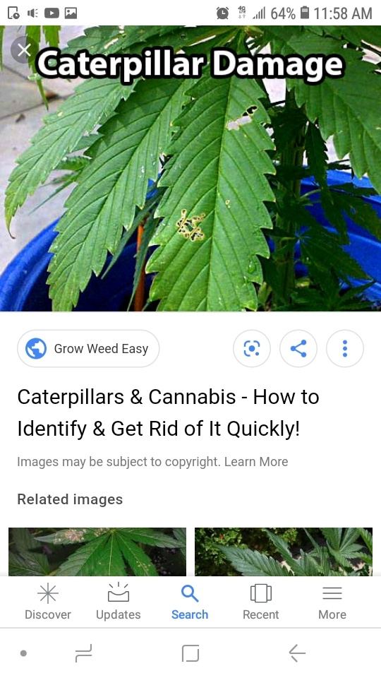 Screenshot 20190803 115826 Google