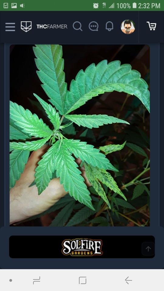 Screenshot 20190806 143209 Chrome