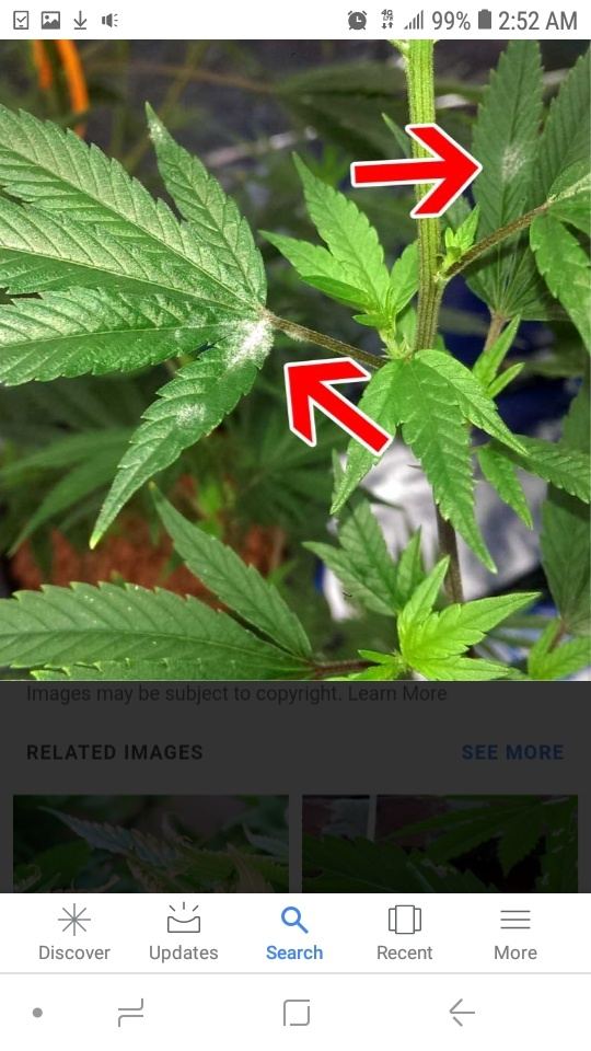 Screenshot 20190831 025232 Google