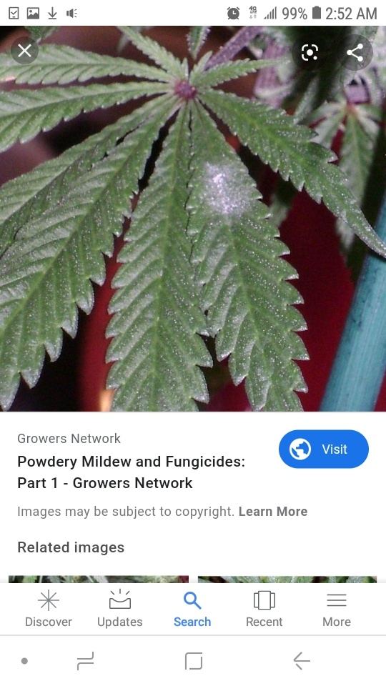 Screenshot 20190831 025253 Google