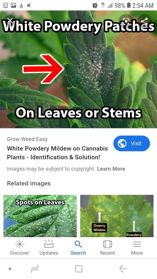 Screenshot 20190831 025404 Google
