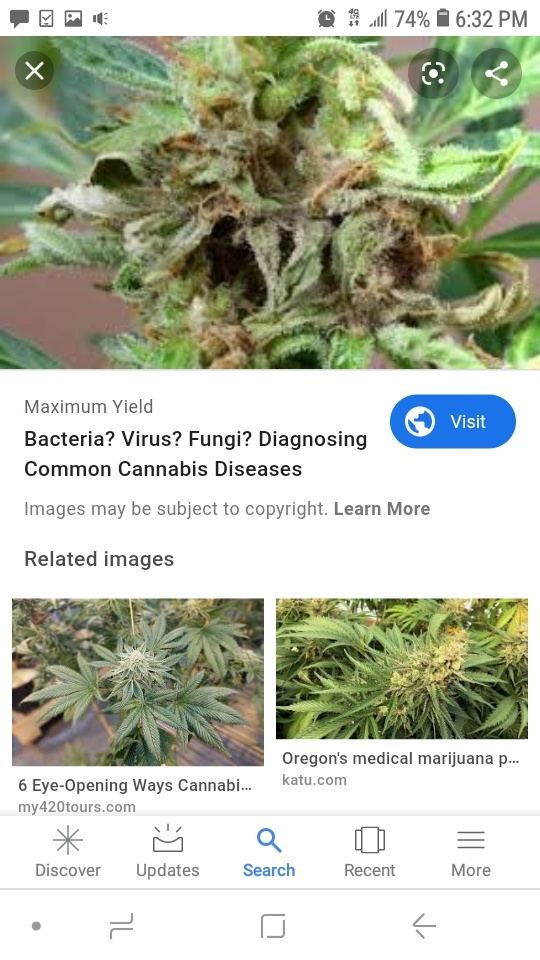 Screenshot 20190831 183208 Google