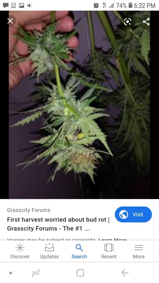 Screenshot 20190831 183228 Google