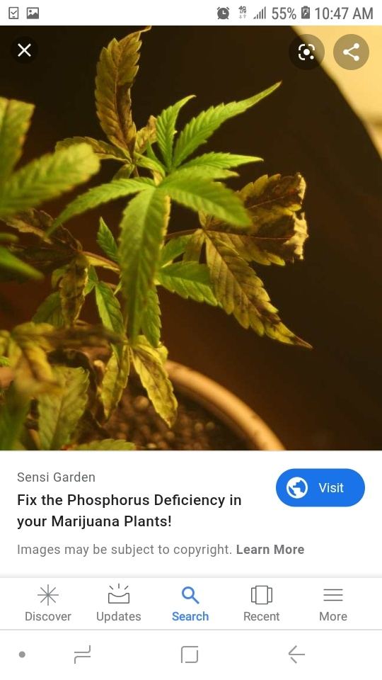 Screenshot 20190902 104701 Google
