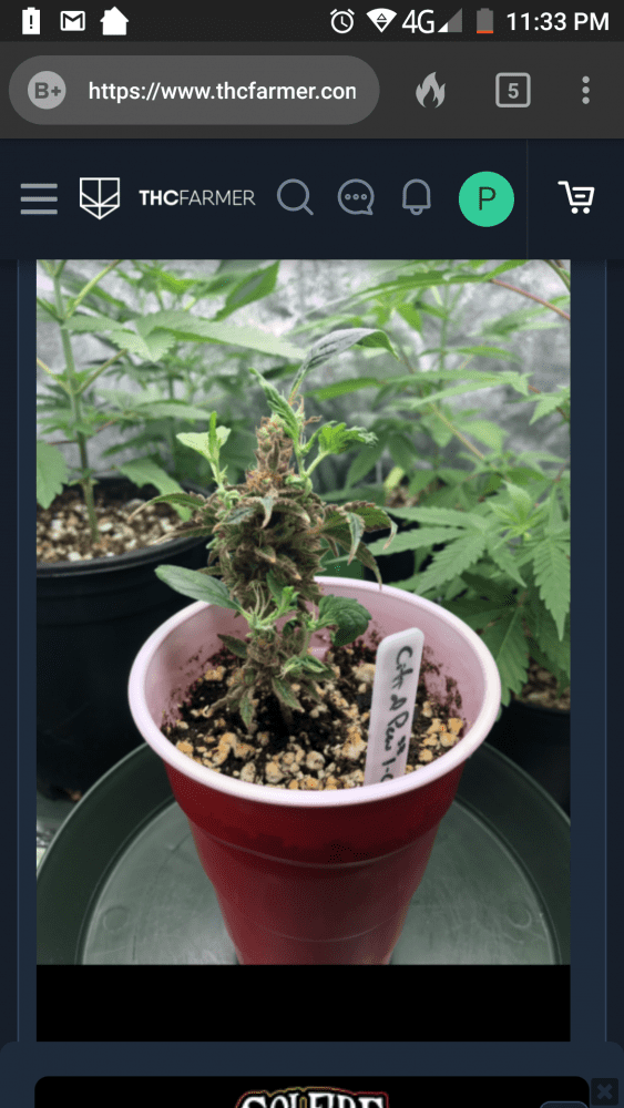 Screenshot 20190903 233333