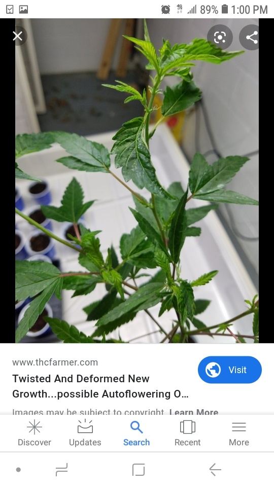 Screenshot 20190913 130022 Google
