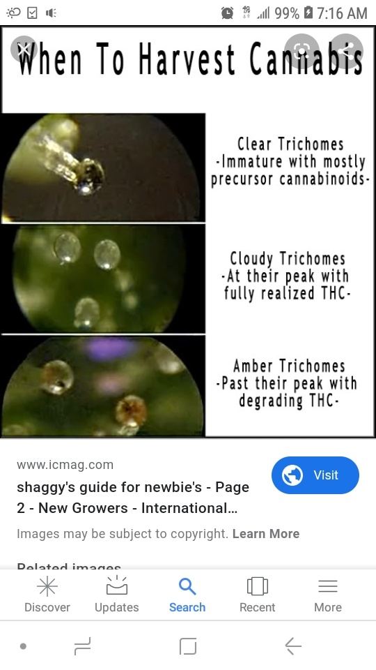 Screenshot 20190918 071656 Google