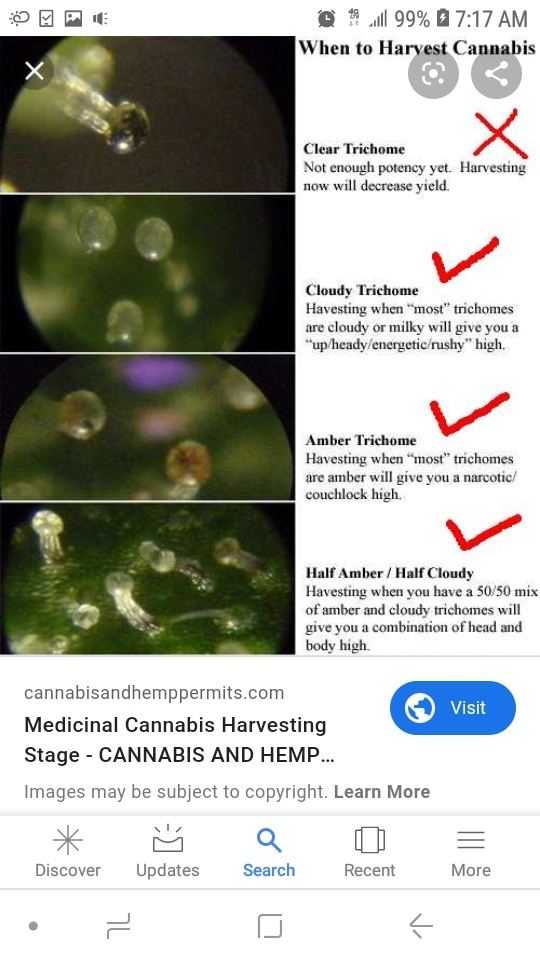 Screenshot 20190918 071734 Google