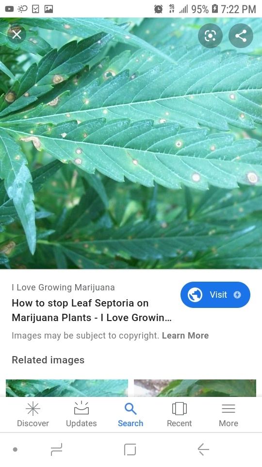 Screenshot 20190919 192210 Google