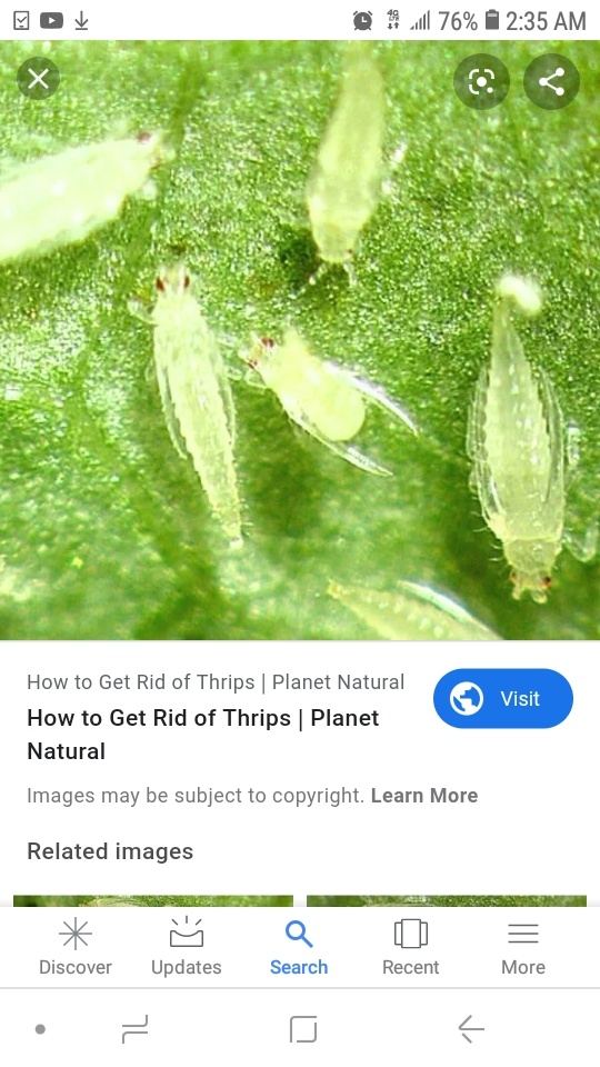 Screenshot 20190921 023519 Google