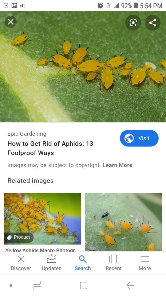 Screenshot 20191003 175433 Google