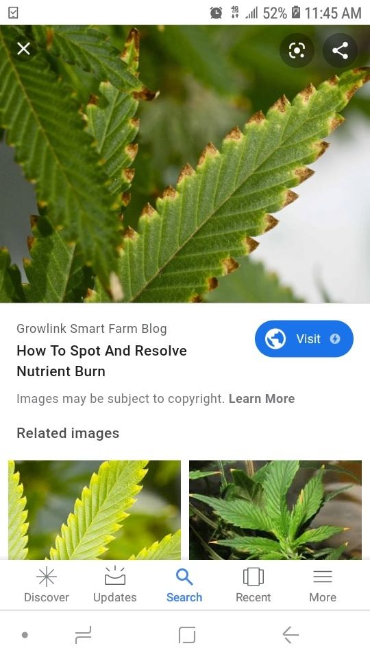 Screenshot 20191013 114520 Google