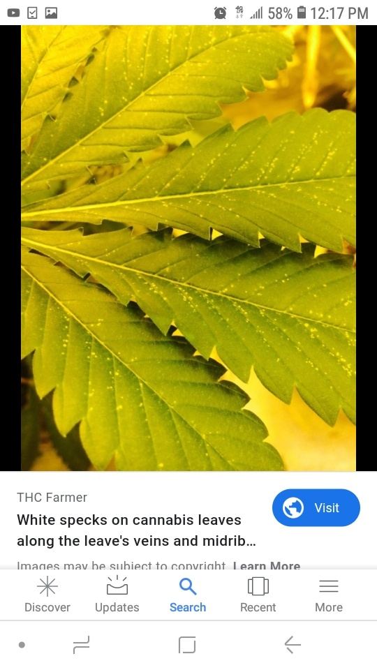 Screenshot 20191025 121742 Google