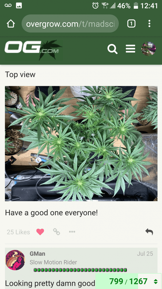 Screenshot 20191125 124104