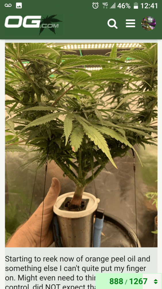 Screenshot 20191125 124159