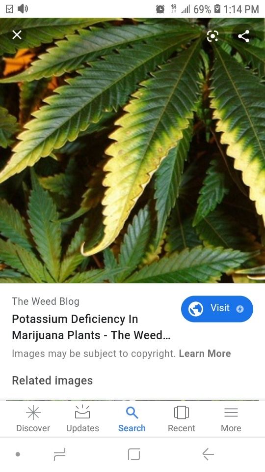 Screenshot 20200102 131439 Google