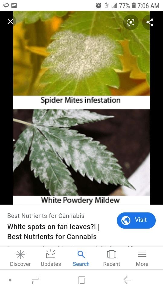 Screenshot 20200117 070618 Google