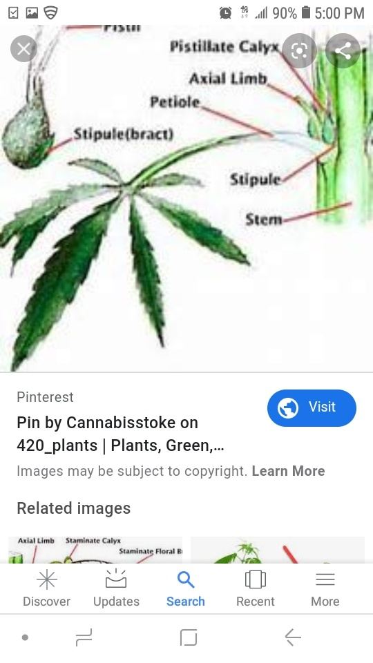 Screenshot 20200126 170053 Google