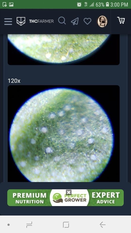 Screenshot 20200128 150012 Chrome