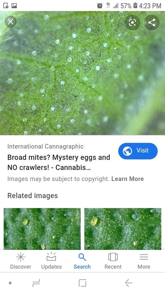 Screenshot 20200128 162308 Google