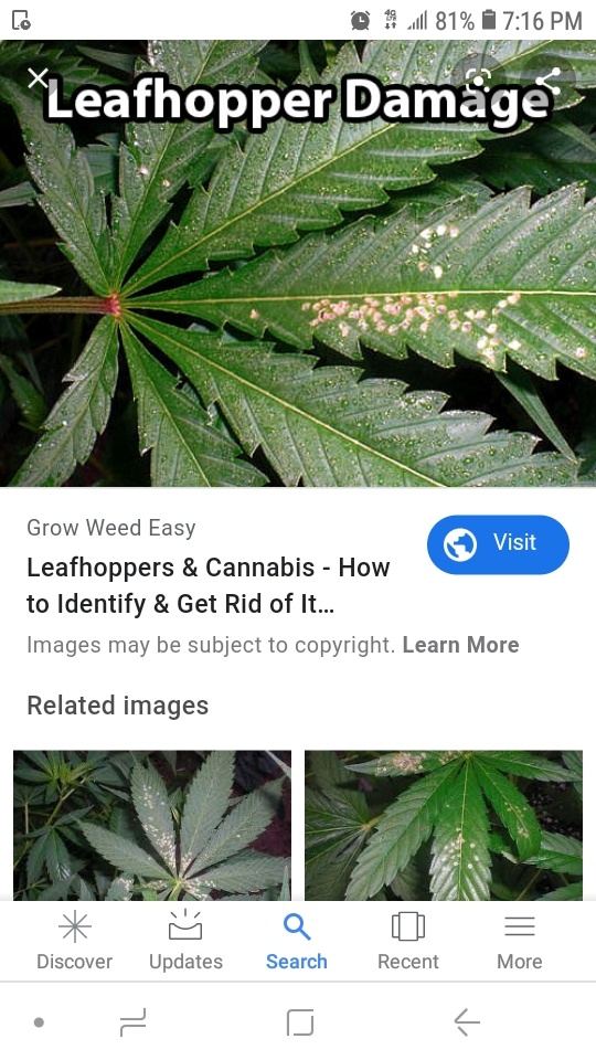 Screenshot 20200130 191648 Google
