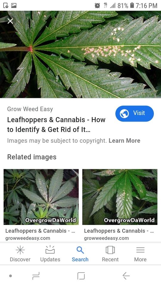 Screenshot 20200130 191656 Google