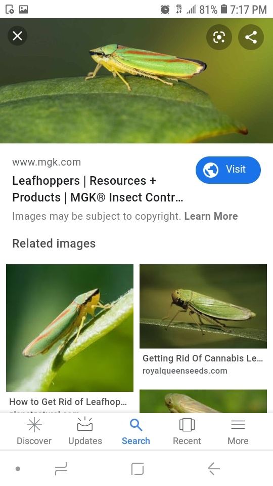 Screenshot 20200130 191710 Google