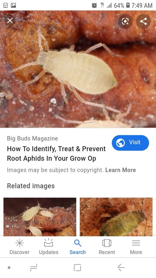Screenshot 20200201 074907 Google