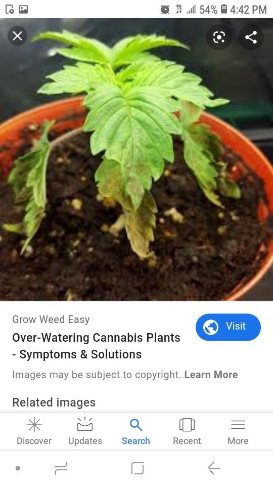 Screenshot 20200203 164252 Google