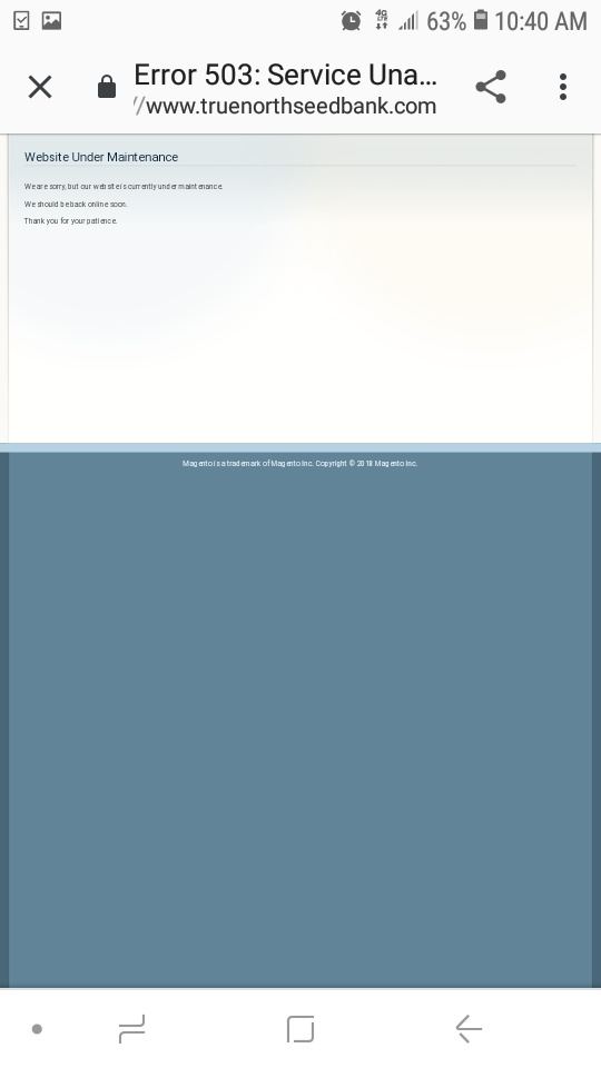 Screenshot 20200216 104059 Chrome