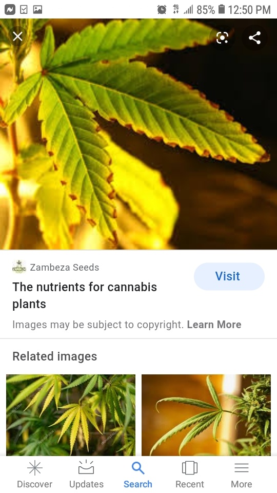 Screenshot 20200321 125038 Google