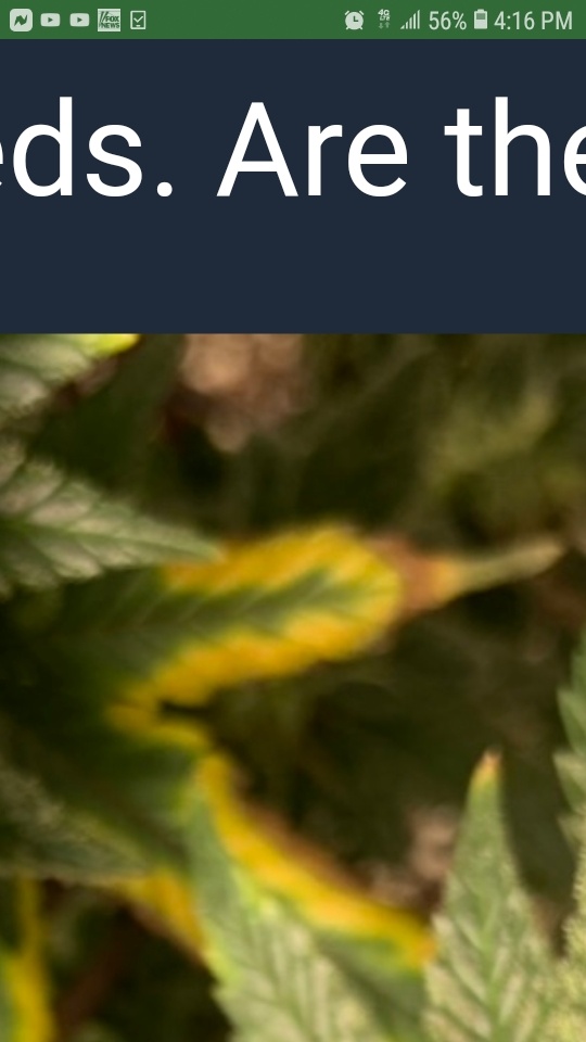 Screenshot 20200327 161620 Chrome