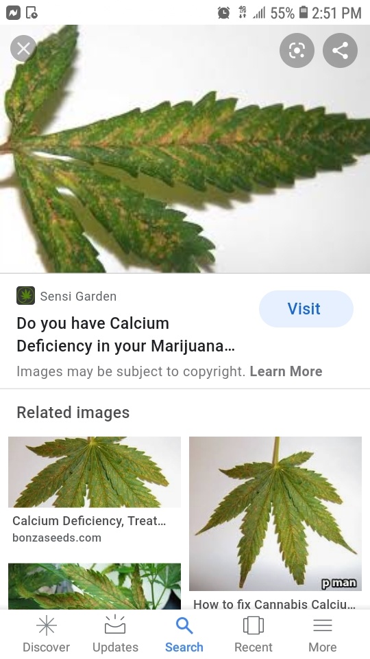Screenshot 20200329 145133 Google