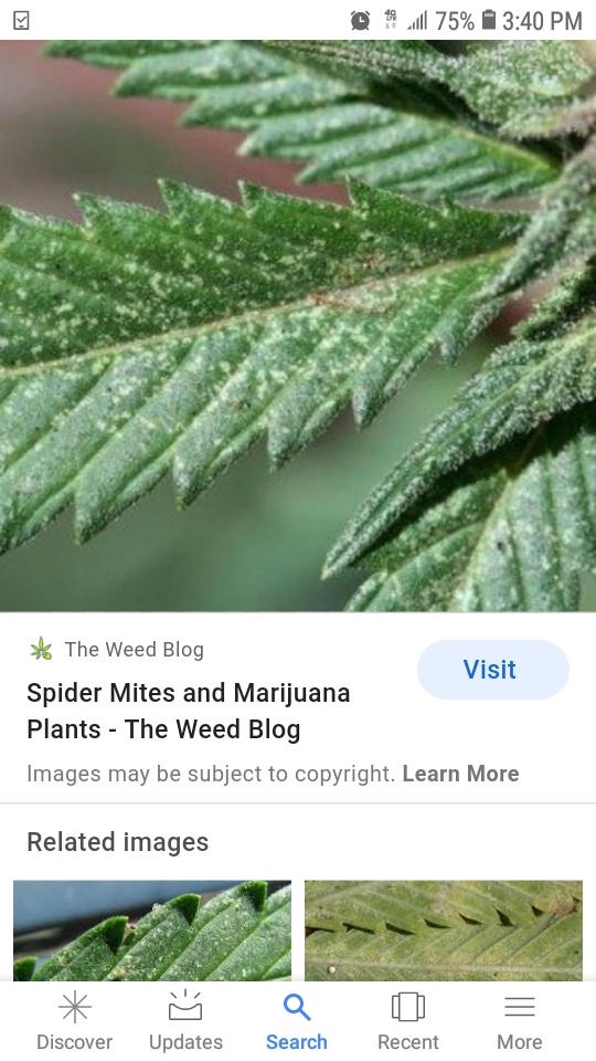 Screenshot 20200411 154052 Google