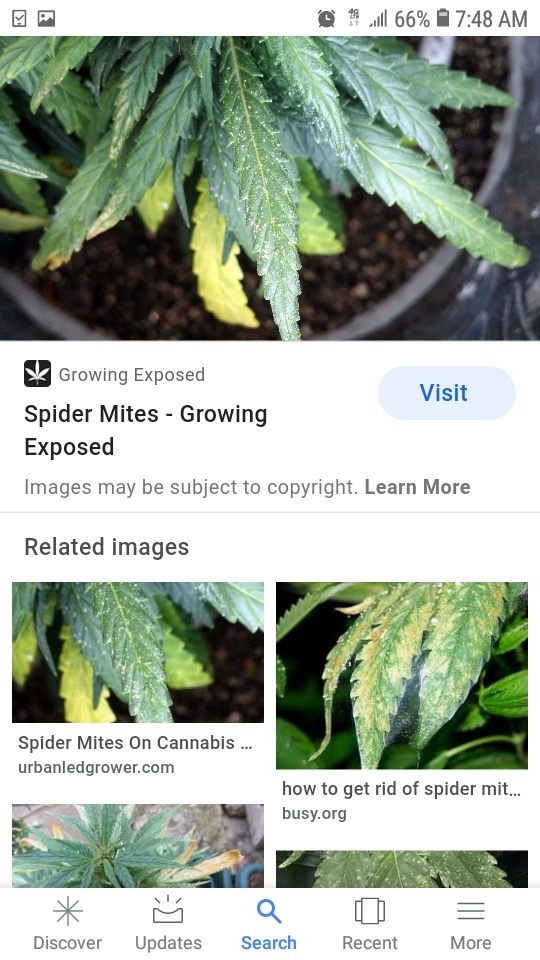 Screenshot 20200414 074846 Google