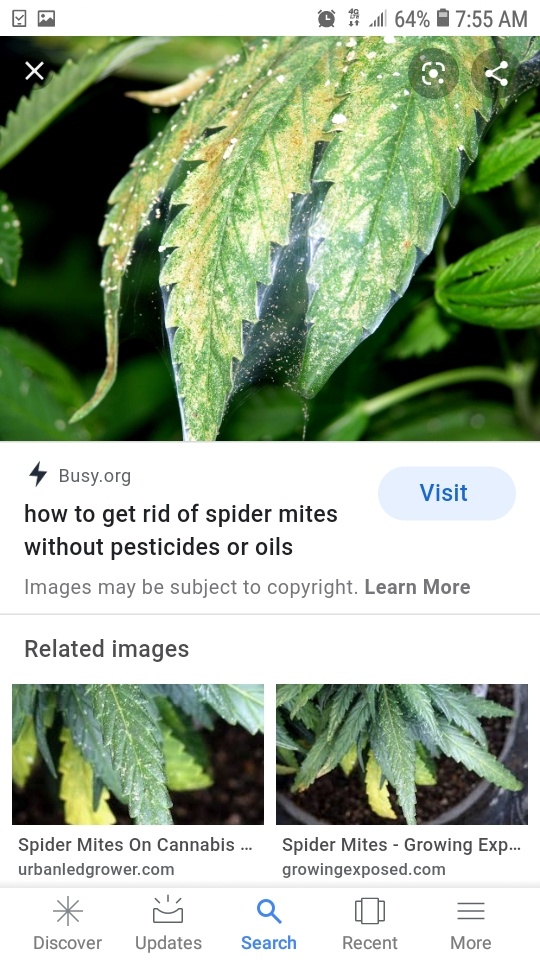 Screenshot 20200414 075504 Google