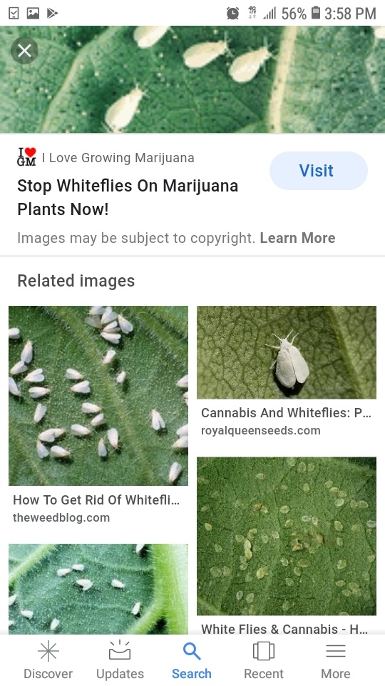Screenshot 20200417 155811 Google