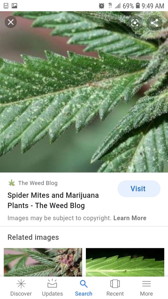 Screenshot 20200420 094933 Google