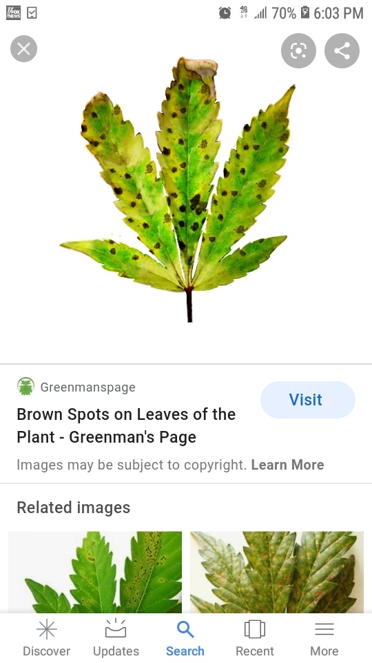 Screenshot 20200422 180319 Google